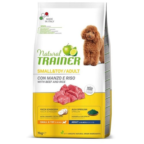 Natural trainer dog - dog, adult
